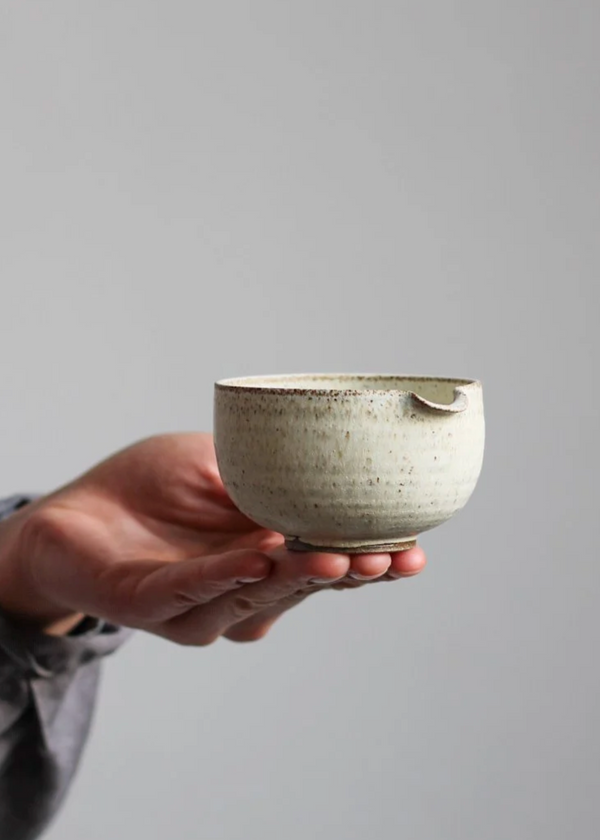 Hand holding a ceramic bowl against a plain background