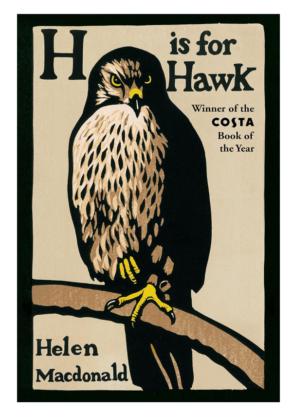 Cover of the book 'H is for Hawk' by Helen Macdonald, featuring an illustration of a goshawk perched on a branch.