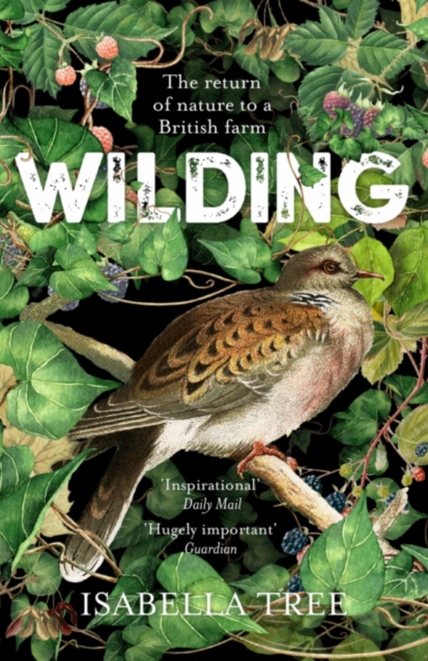 Book cover of 'Wilding' with a bird and nature elements