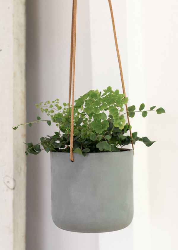 Hanging plant in a gray pot against a white wall
