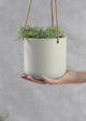 A person holding a round earthenware planter with a plant, suspended by a leather cord.