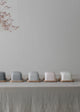 Row of small ceramic butter dishes on a light surface with a vase of dried branches in the background.